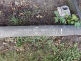 image of grave number 617423